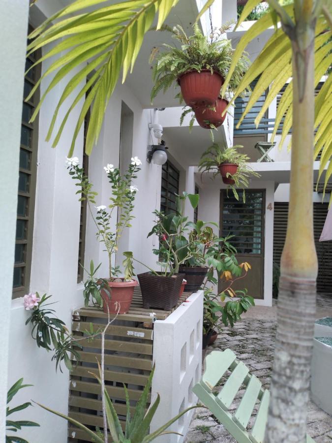 Departamentos De La Reina Roja Apartment Palenque Exterior photo